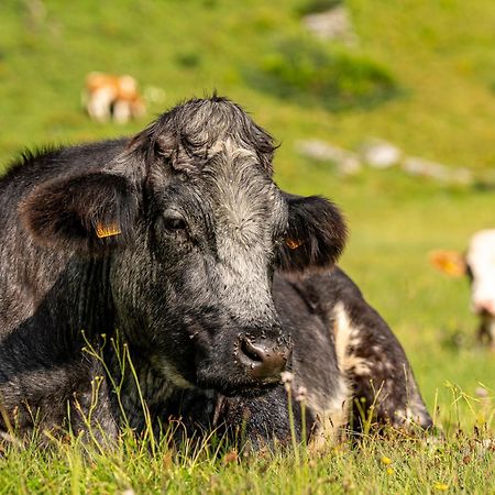 Hotel Alpen Arnika Tauplitzalm Eksteriør bilde