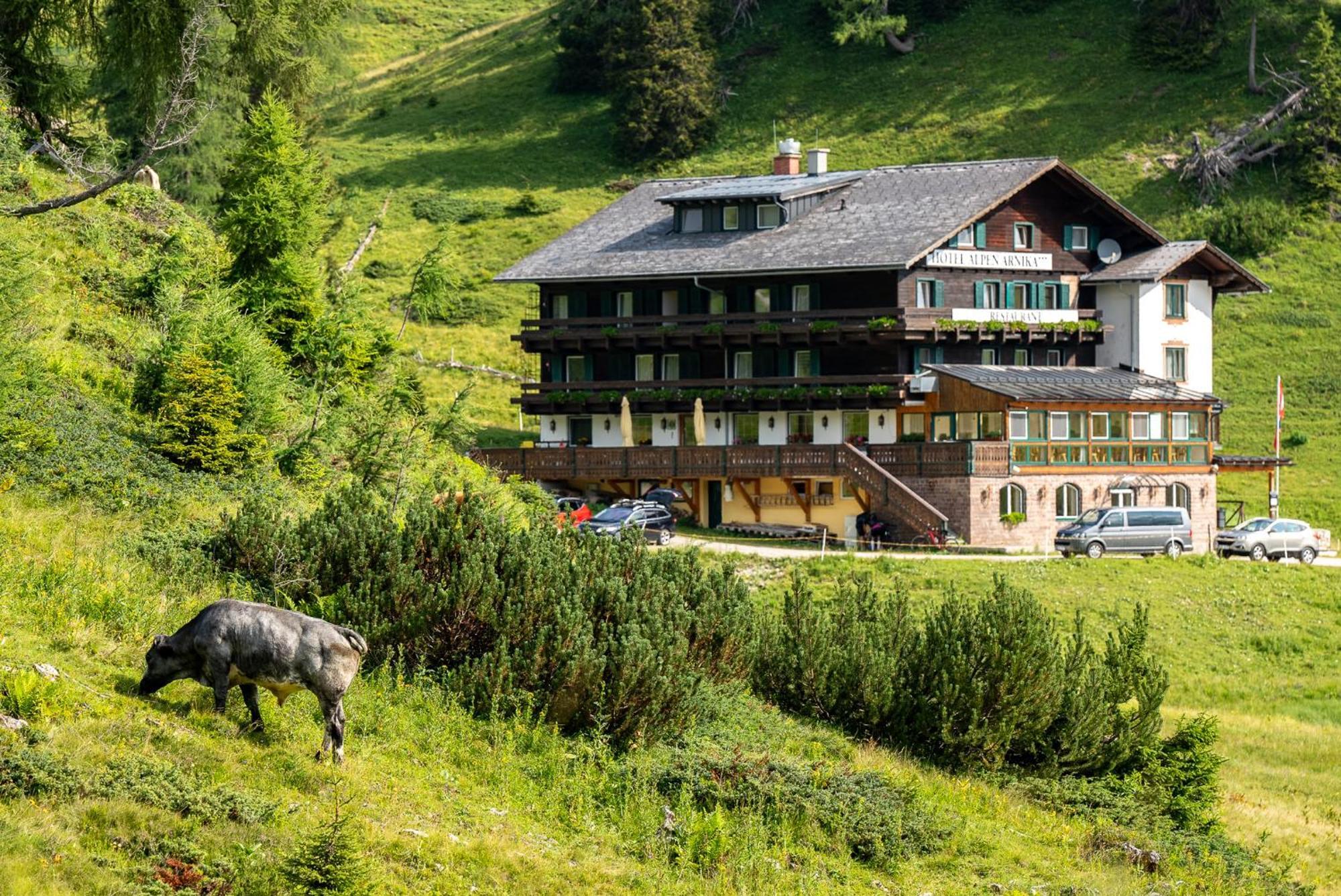 Hotel Alpen Arnika Tauplitzalm Eksteriør bilde